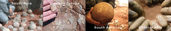 Dinosaur egg fossils all over the world