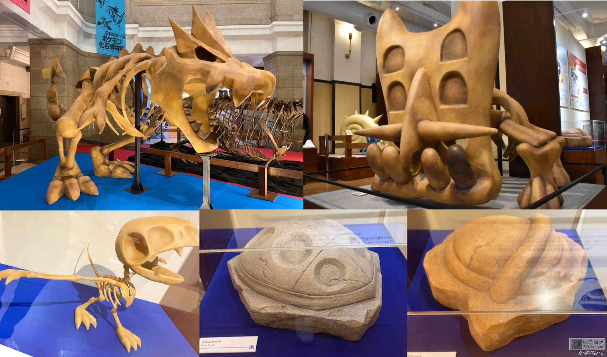 Pokemon化石博物館