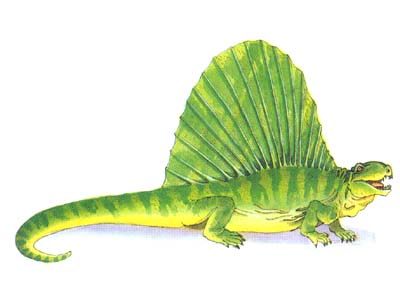 化石讲场-fossils board 亚洲首个古生物/恐龙/化石的