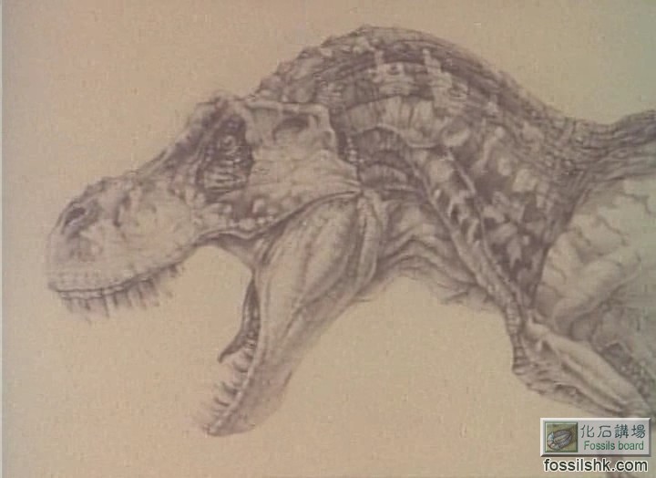 94 k) 图片附件: [暴龙素描2]  jurassic_side2.