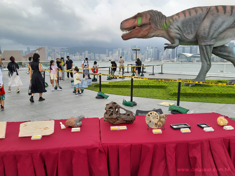 機動恐龍展化石活動「恐龍學院」@海港城+時代廣場