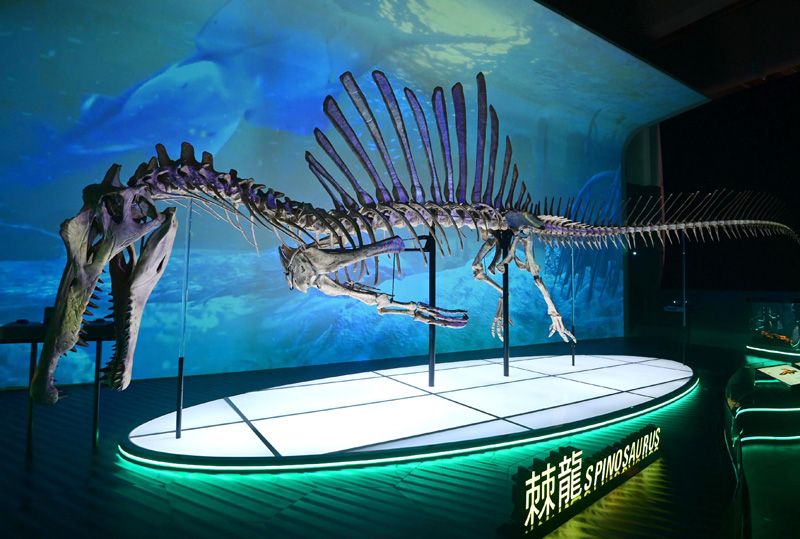 香港科學館「八大‧尋龍記」恐龍化石展2022