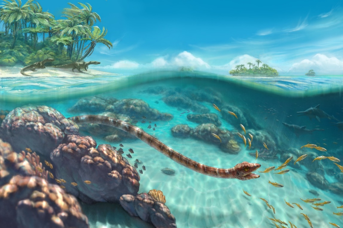 三疊紀海生爬行動物長頸龍類新屬種
