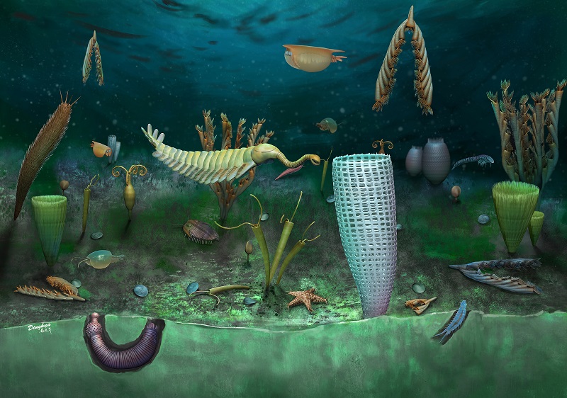 威爾斯4.62億年前保存軟軀體化石城堡灘生物群