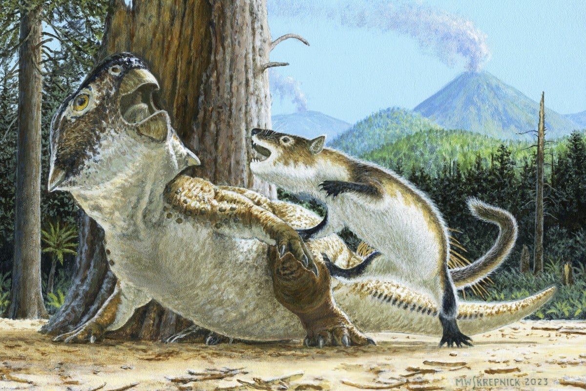 1.25億年前鸚鵡嘴龍化石 首個哺乳動物攻擊恐龍證據