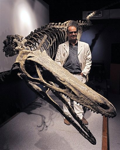 http://www.fossilshk.com/forum_image/f852.jpg