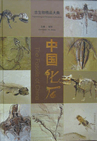 The Fossils of China