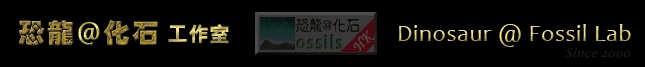 恐龍@化石工作室 -Dinosaur @ Fossil Lab